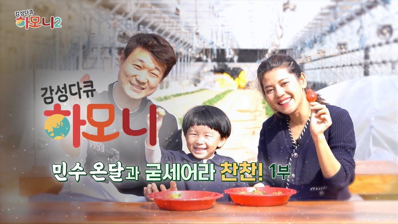 감성다큐하모니 시즌2 - 민수 온달과 굳세어라 찬찬! 1부