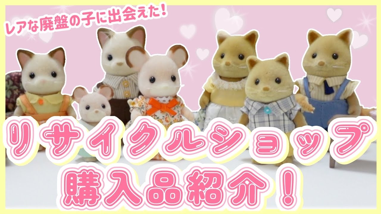 【購入品紹介】レアなシルバニアが！？オタクは要チェックな場所『リサイクルショップ』で運命の出会いをしてきました♡