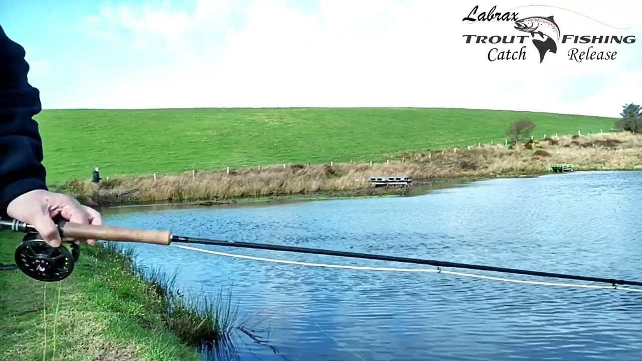Labrax Fishing 27 10 2025