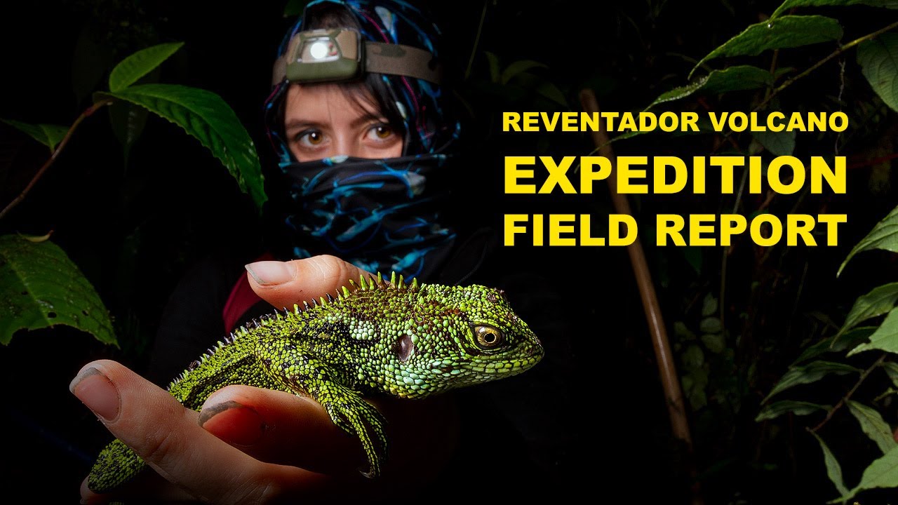 Reventador Volcano expedition field report in Ecuador