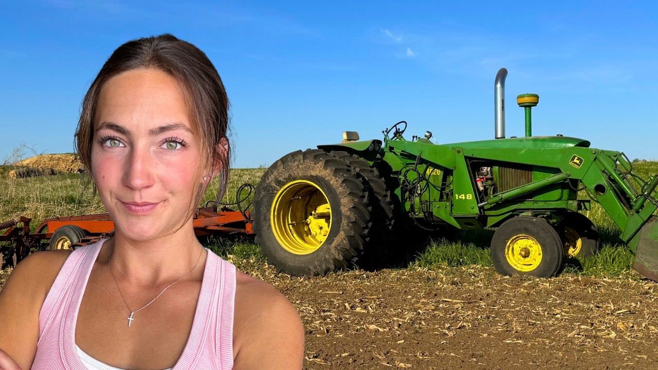 OLD Tractor Working Sweet Corn Patch