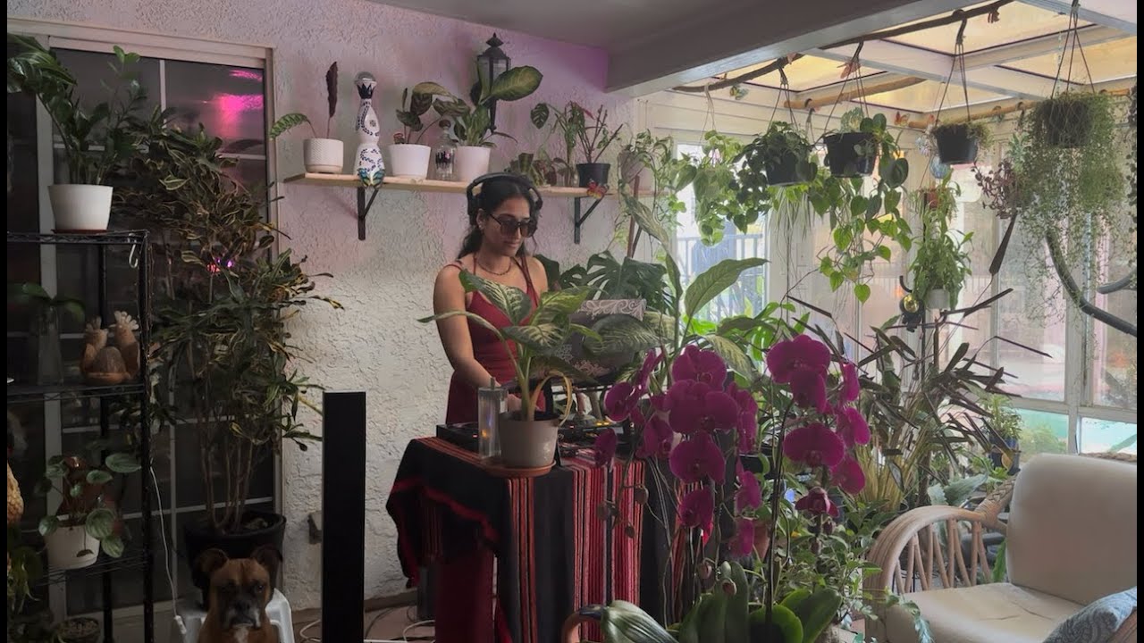 Sunroom Sessions - 2 (Jazzy January)
