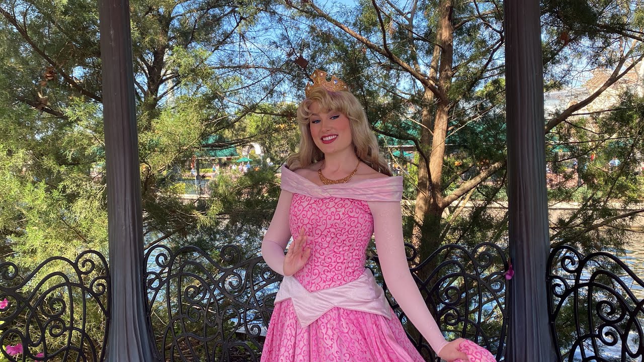 Aurora meet and greet Disney Epcot 2025