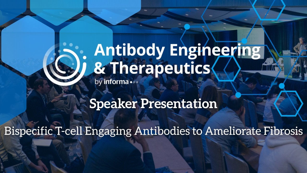 Bispecific T-cell Engaging Antibodies to Ameliorate Fibrosis