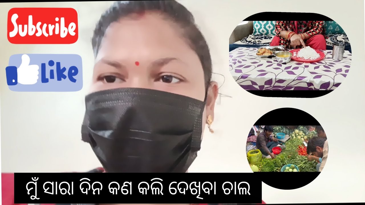 ମୁଁ ସାରା ଦିନ କଣ କଲି ଦେଖିବା ଚାଲ | Kabita House Lady 