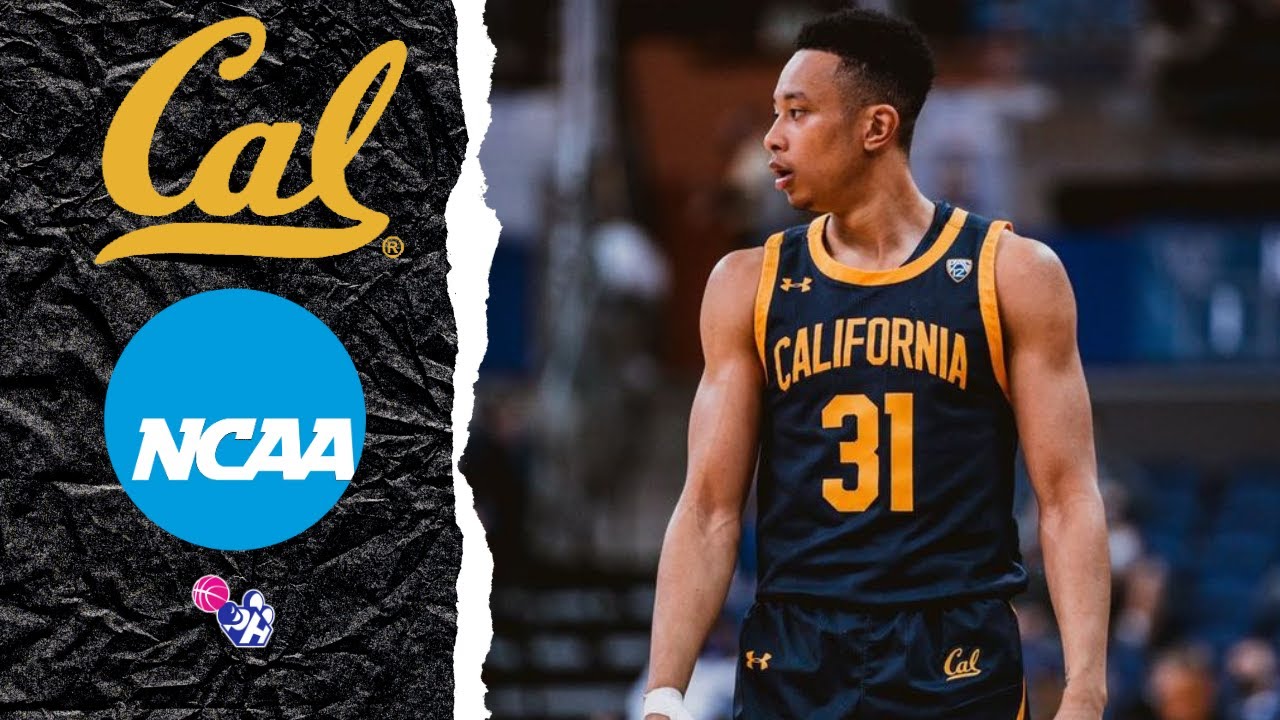 Jordan Shepherd Highlights 2021/22 || NCAA D1  || California Golden Bears