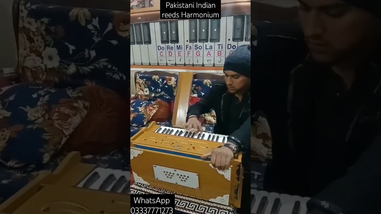 Pakistani Indian reeds Harmonium|Base Male|4 Colors|Single Bellow|Double Bellow|Camera Bellow