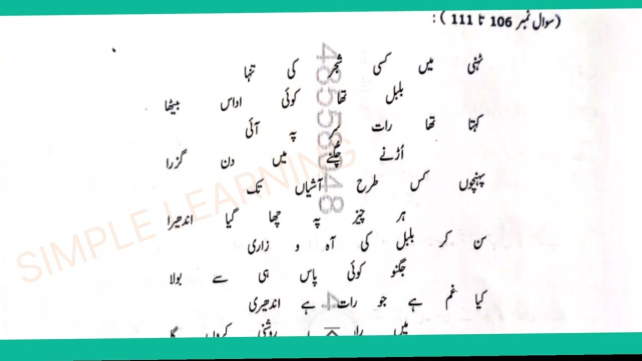 CTET 2026 URDU LANGUAGE 1 ANSWER KEY PAPER 2