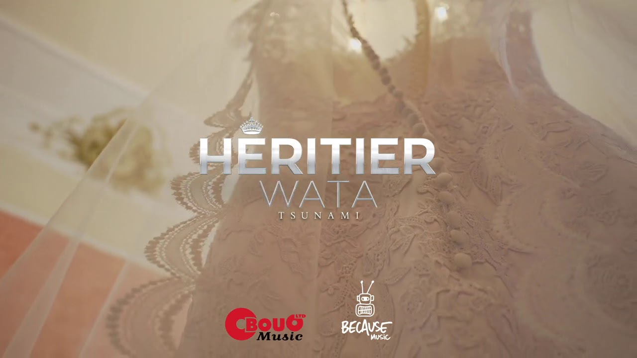 H&eacute;ritier Wata - Diff&eacute;rence (Audio Officiel)