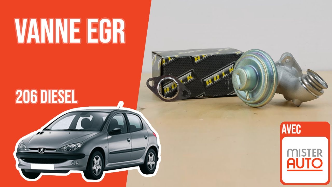 Changer la Vanne EGR Peugeot 206 1.4 HDI ♻️