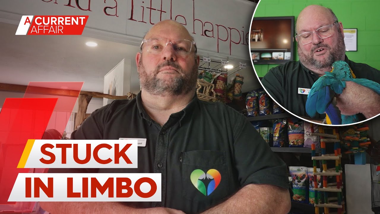 NDIS knocks back funding for parrot therapy charity with 'no explanation' | A Current Affair