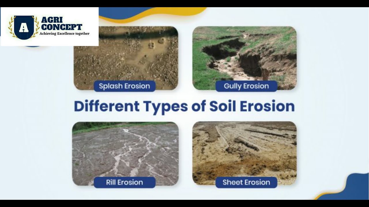 Soil Erosion and its types #soilerosion#erosion#soilscience