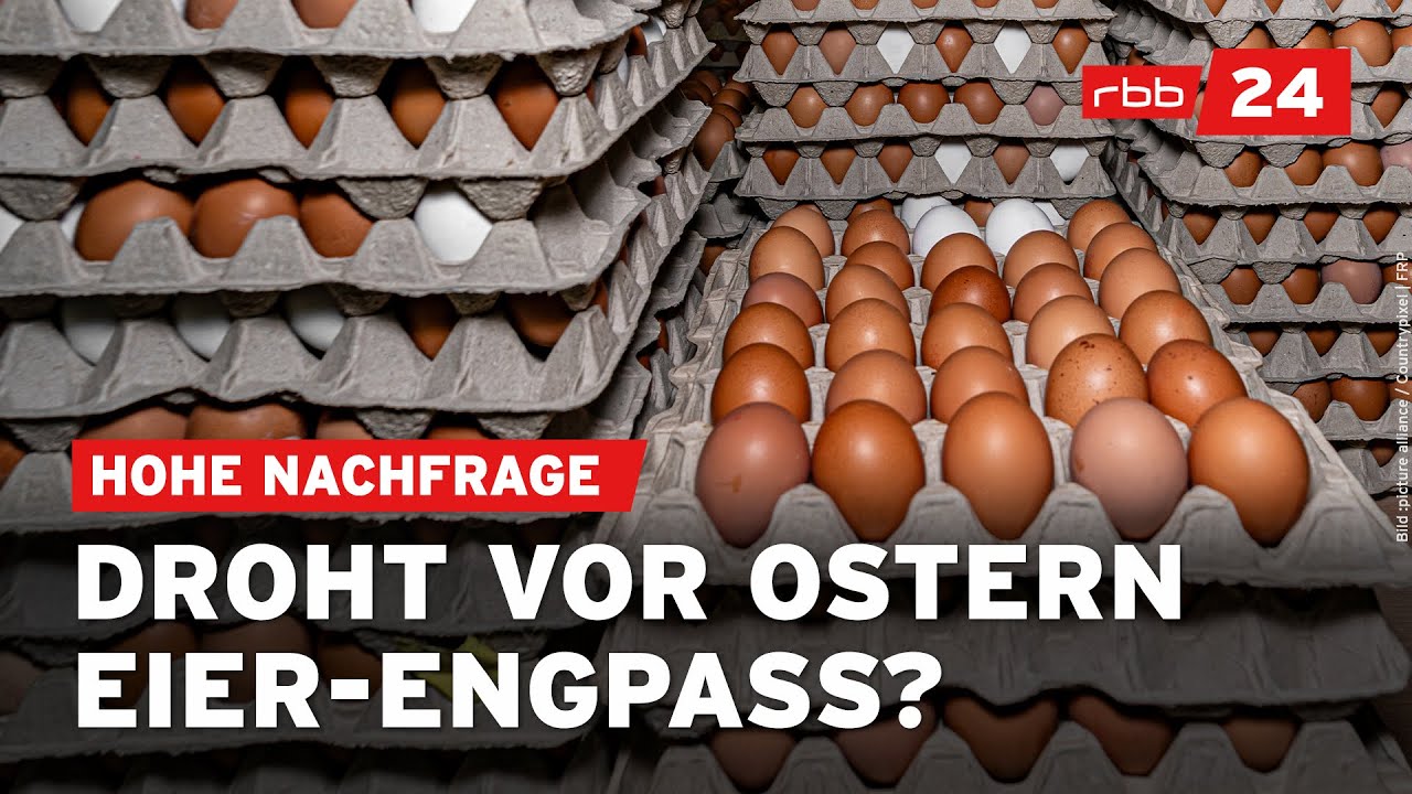 Warum Eier im Supermarkt jetzt knapp werden könnten
