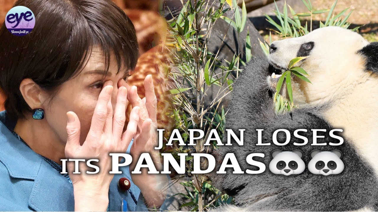 Panda fans flock to Tokyo zoo as Japan will be without a panda for the first time since 1972