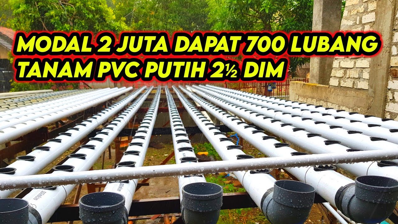 Review INSTALASI HIDROPONIK BARU. PIPA PVC 2½" DIM. PUTIH || apakah sama dengan abu"?