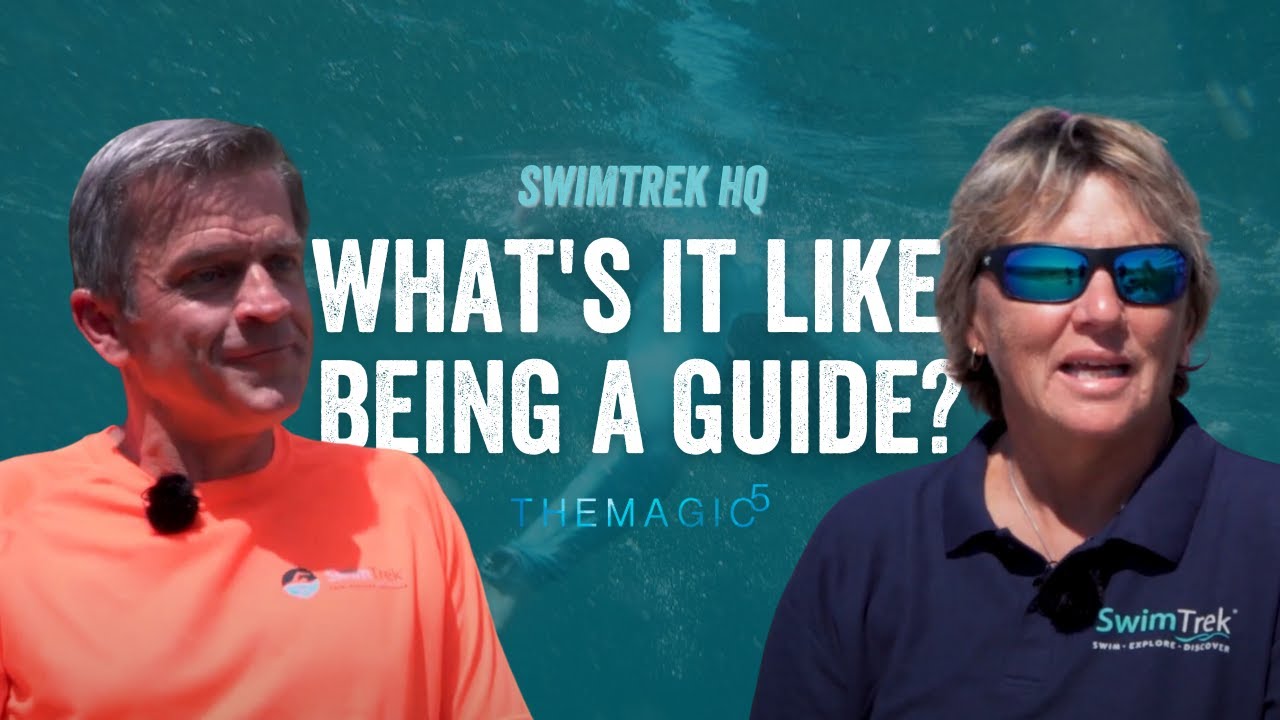 What's It Like Being A SwimTrek Guide? (Interviews) | SwimTrek HQ