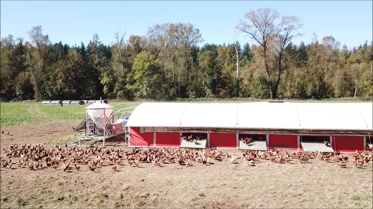 Mobile Hen Coop on the Move