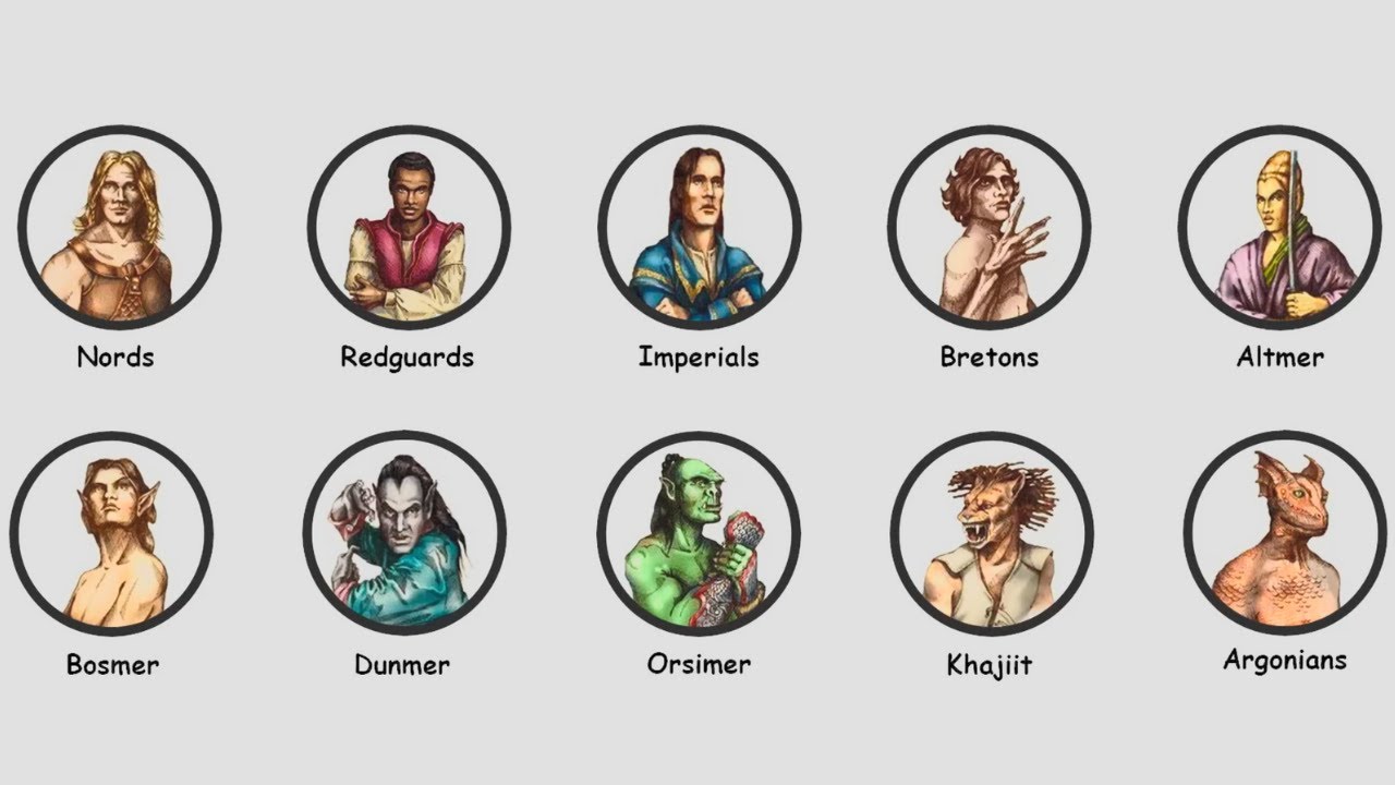 Every The Elder Scrolls Race Explained in 7 Minutes