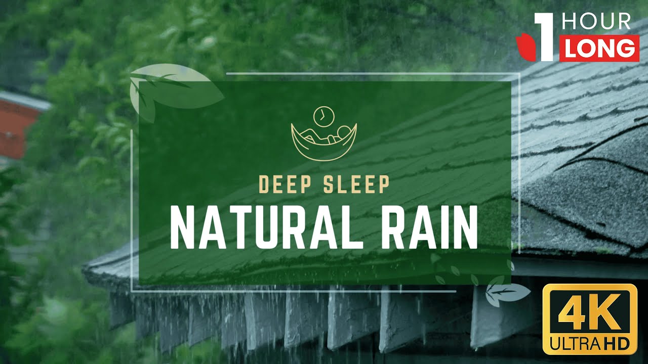 Rain Sounds with Distant Thunder for Deep Sleep ⛈️ ASMR (1 Hour, No Talking)