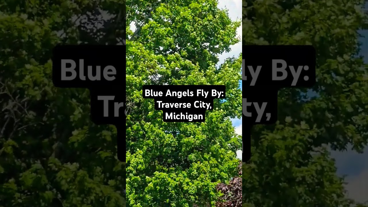 Blue Angels Fly By: Traverse City, Michigan