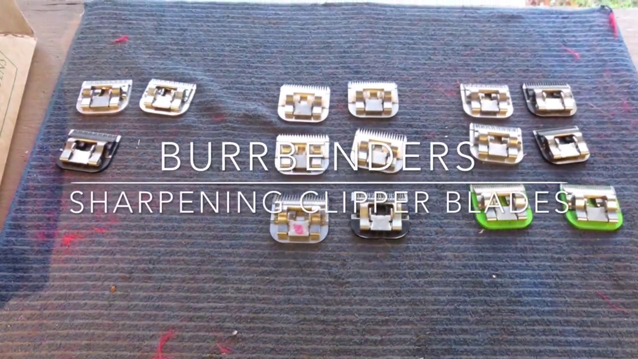 Sharpening clipper blades.
