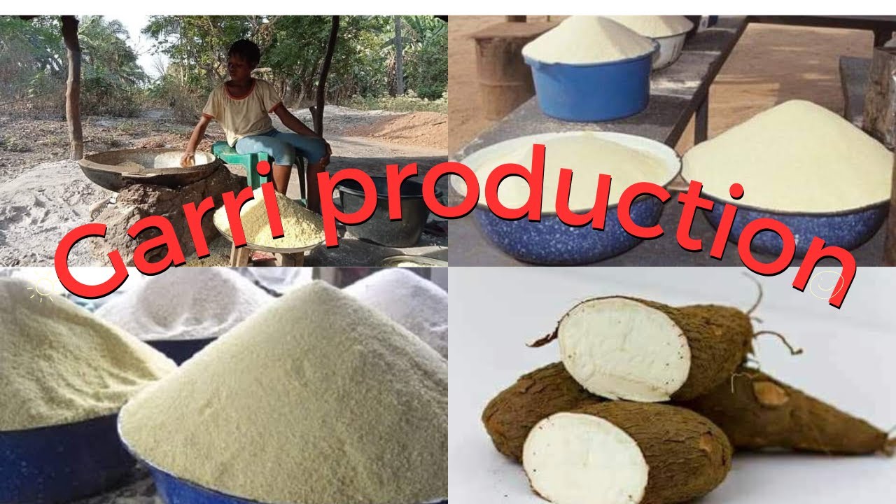 HOW GARRI IS MADE FROM START TO FINISH // GARRI f PRODUCTION