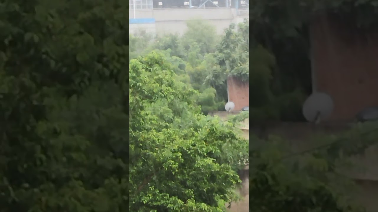 #music #shortsviral #delhicapitals #capital #weatherupdate #rain