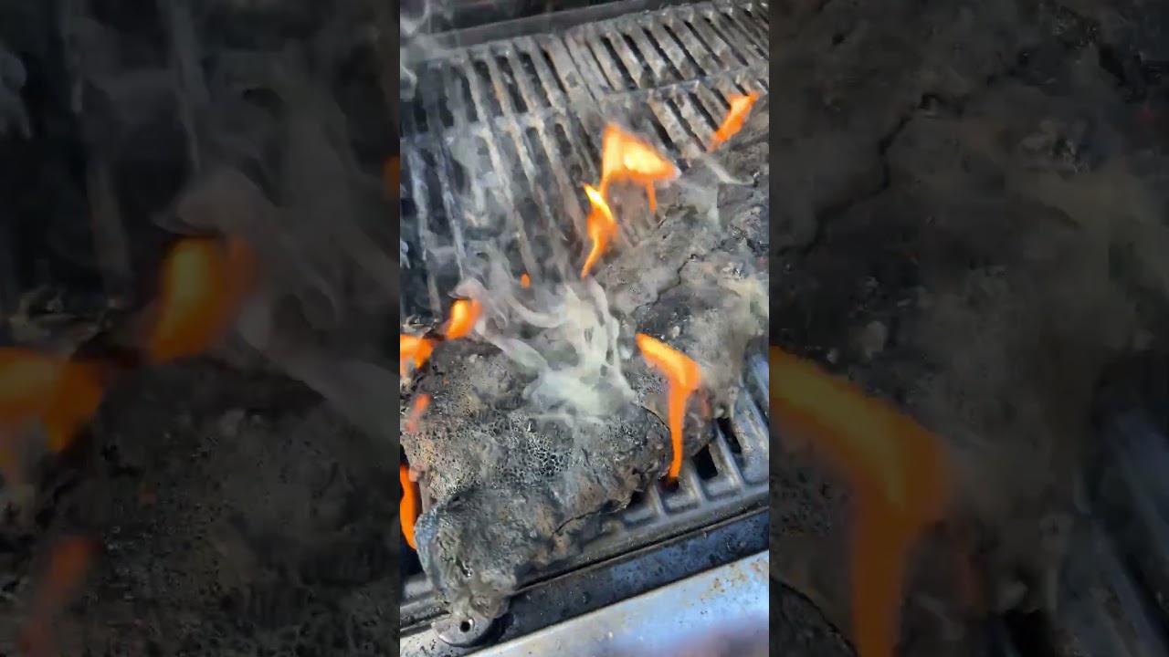 I&rsquo;m so mad at myself 😡 #foodfail #fail #grill #grilling #grillfail #ribs #ohno #failarmy #yuck #NO