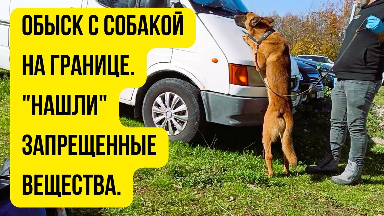 Граница Болгарии и Турции. Обыск с собакой. 