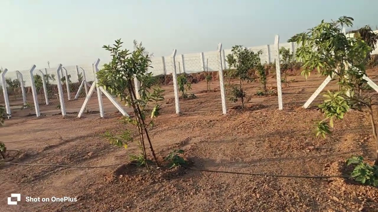 484 Square Yard Farm Plot For Sale Price #ytshorts #home #trending #viral #shorts #villa #property 