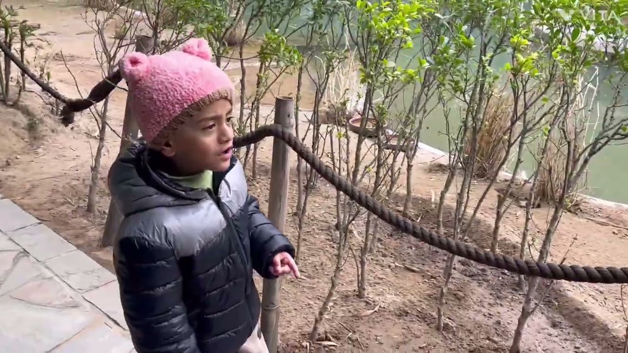 #chandigarh #birdpark #bestplace #park #kids  