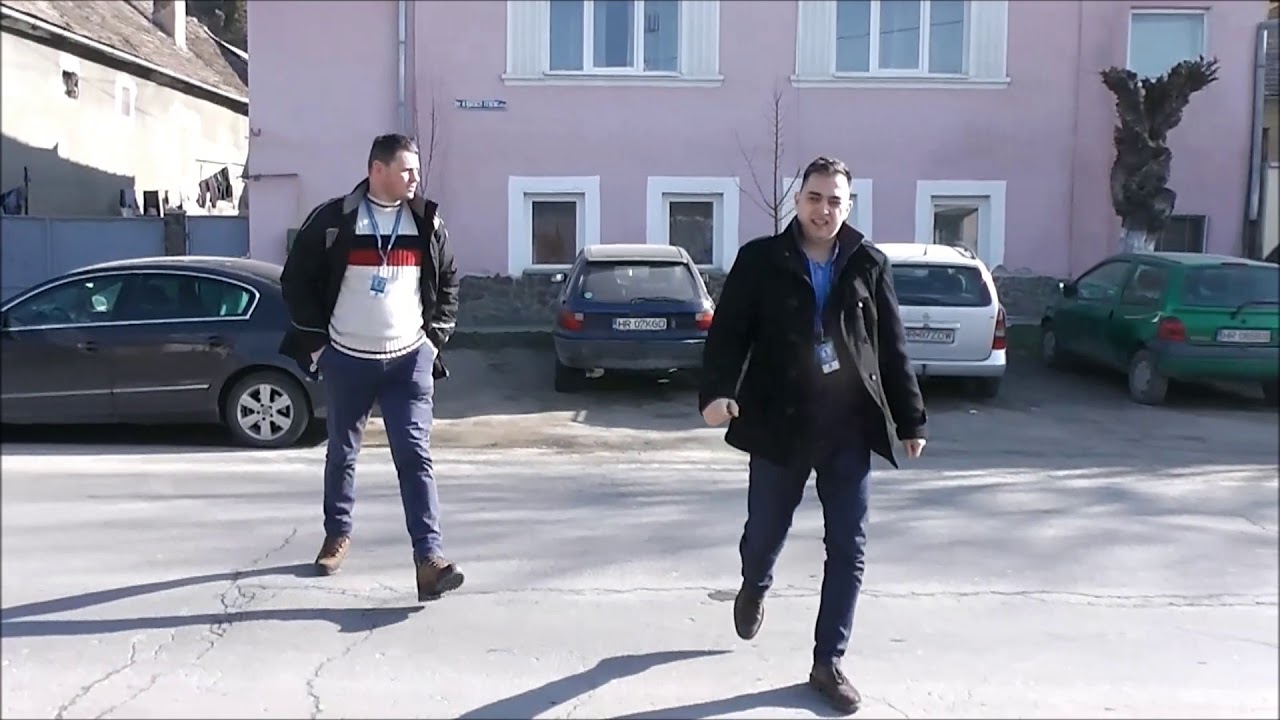 Kutya menhely napjainkban!
