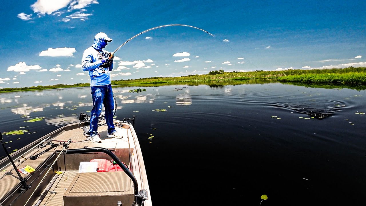 How to Catch More Bass with Swimbaits (Beginner to Pro Guide)