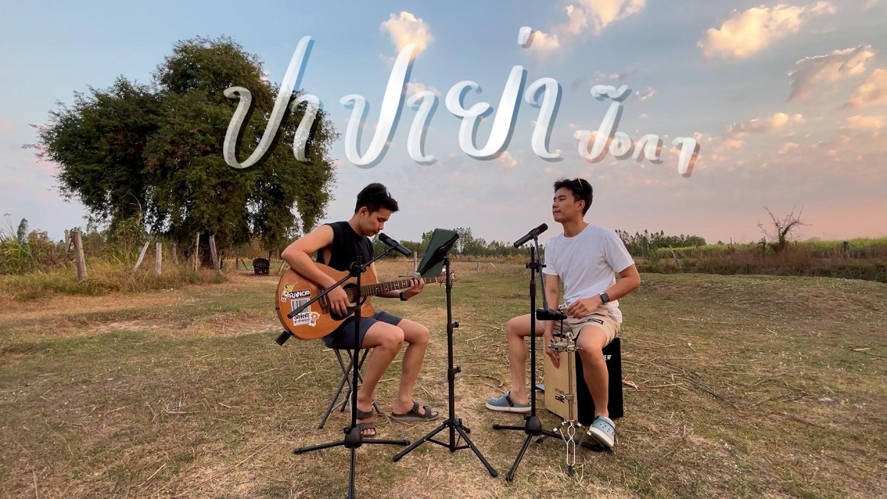 ปาปาย่า ป๊อกๆ - เทียรี่ เมฆวัฒนา | BEST BOSS (Cover)