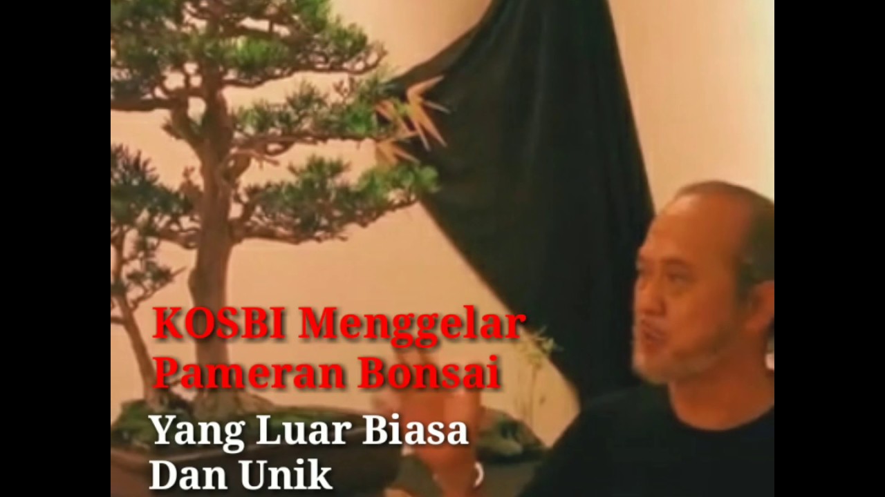 KOSBI Menggelar Pameran Bonsai Yang Luar Biasa Dan Unik Di Pasar Seni Ancol