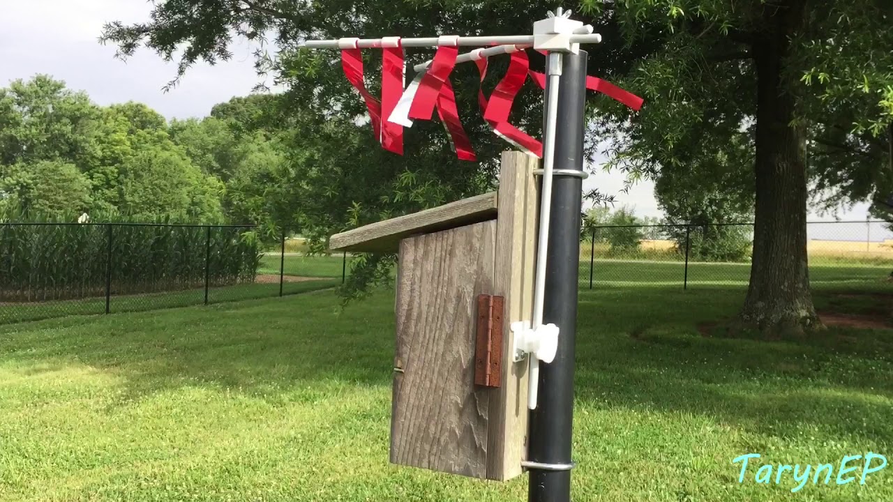 Bluebird Update #1: We have a new nest! Plus, do house sparrow spookers work?