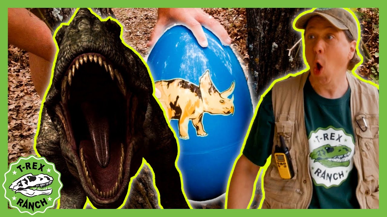 Giant Dinosaur Eggs! #irl | 🦖🦕 T-Rex Ranch Dinosaur Videos