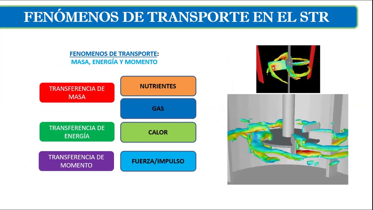 El Biorreactor: el corazón del bioproceso