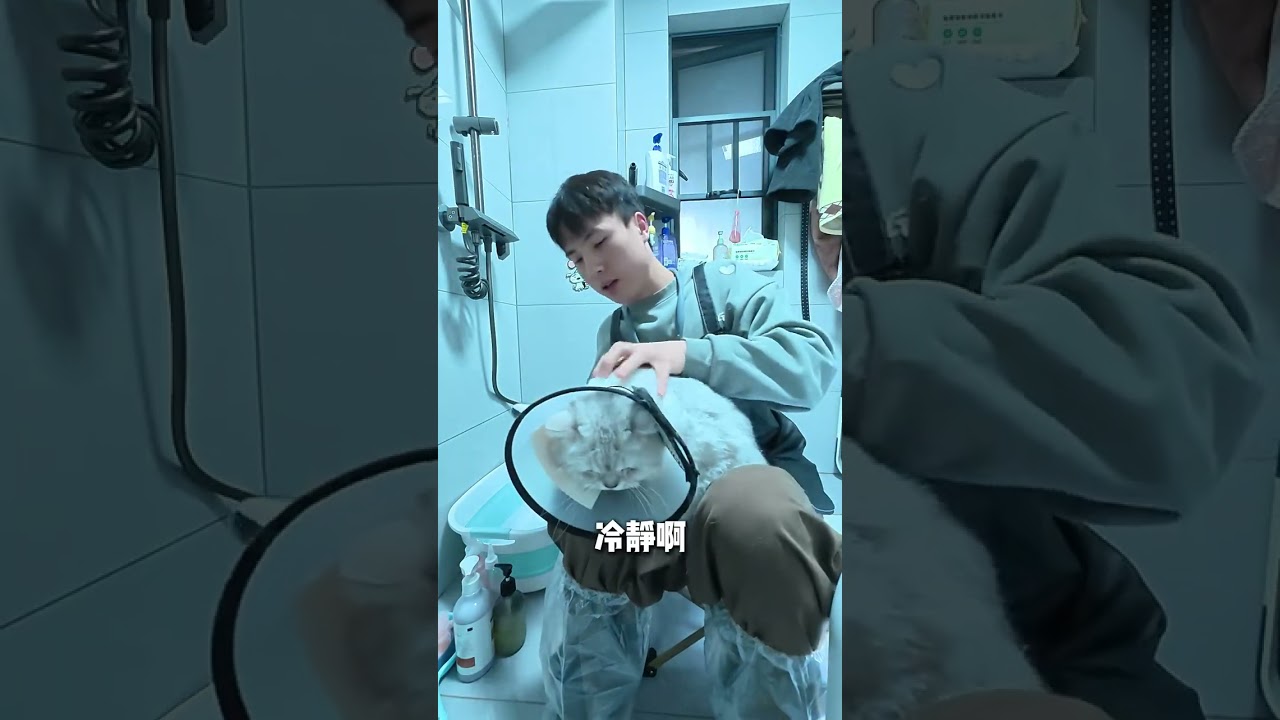 Door-to-Door Cat Cleaning: Today's Male Lead Makes Money from Cheating Cats
