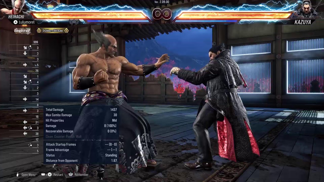Tekken Training