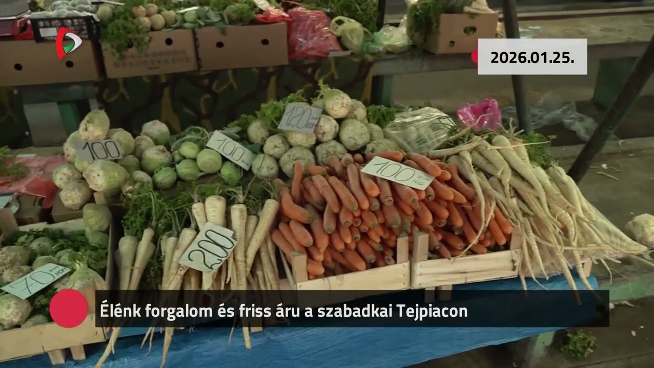 Kommentár nélkül – 2026.01.25.