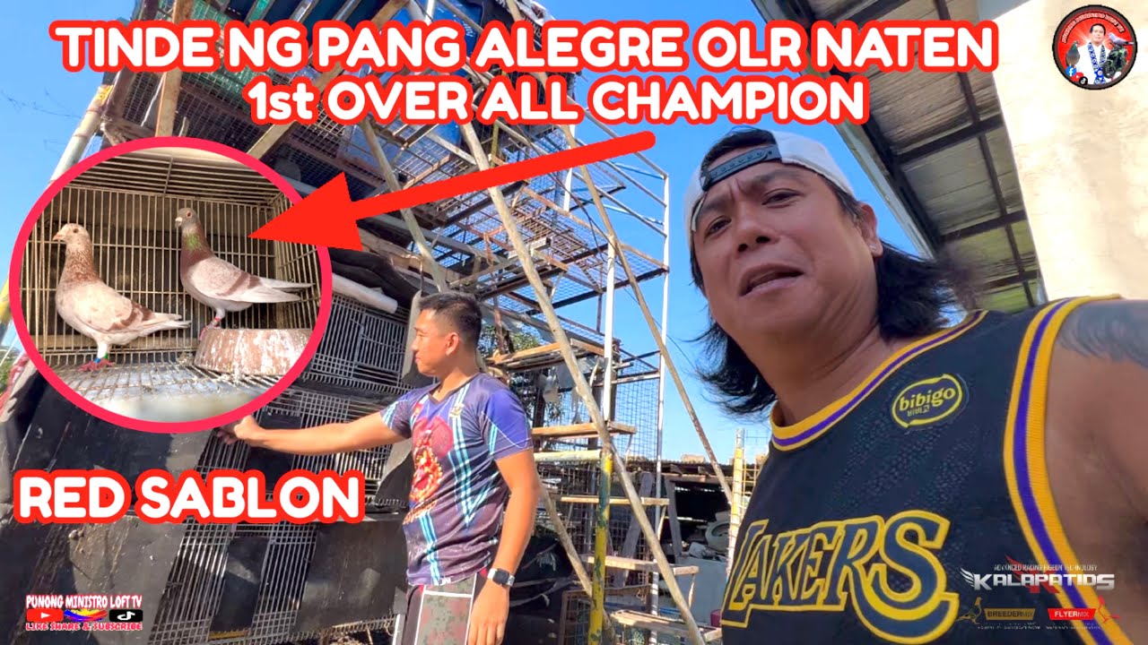 EP1253 JACKPOT ANAK NG 1st OVER ALL CHAMPION ANG PANG ALEGRE OLR NATEN!