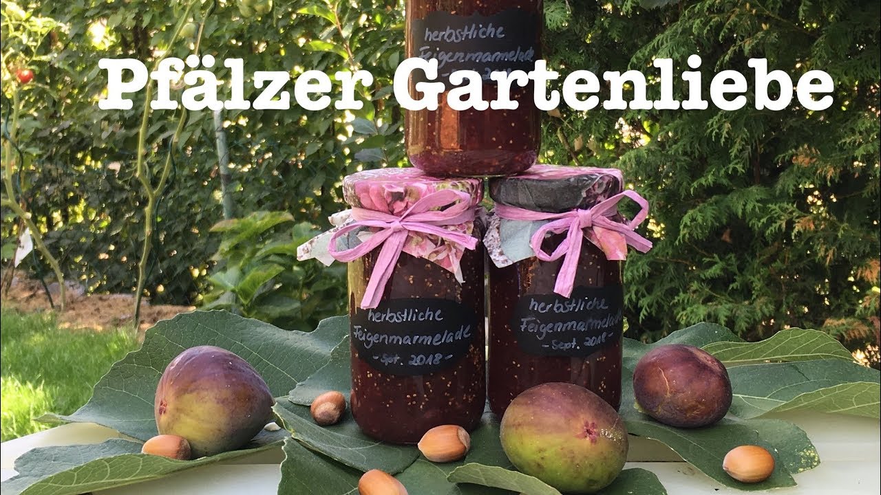 Feigenmarmelade ganz einfach kochen