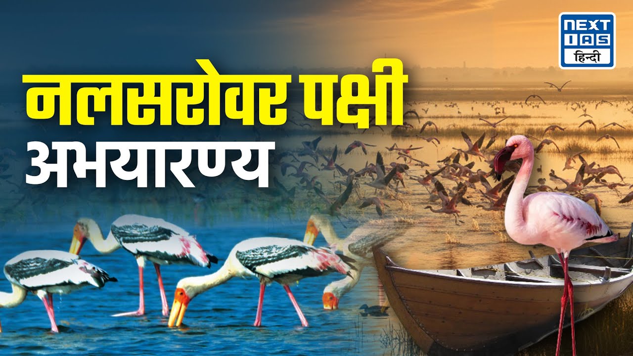 Nalsarovar Bird Sanctuary Revival | खामोशी ने लौटाई ज़िंदगी | NEXT IAS HINDI