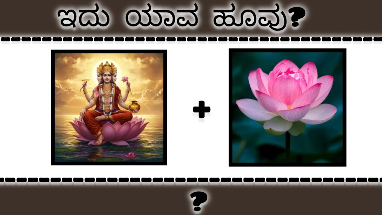 ಚಿತ್ರಗಳ ಸಹಾಯದಿಂದ ಹೂವುಗಳ ಹೆಸರನ್ನು ಗುರುತಿಸಿ|Guess the flower name by photos #guessinggame  #viralvideo