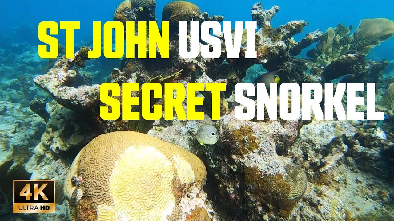 Snorkeling US Virgin Islands National Park Coral Reef Caribbean St John USVI