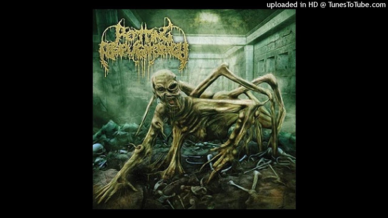 Rotting Repugnancy &ndash; The Path Of The Diminished [Full Album] 2014