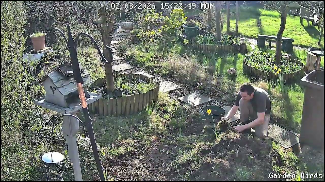 🌿 NORFOLK GARDEN | Front Garden in a Minute or 2 | 2nd March 2026 (Day 2)