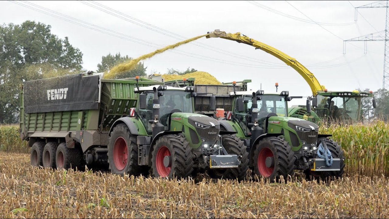 Maïs 2025 | 2x Fendt 942 | John Deere 9900i | 12 rijer | MAN | Fendt 3asser |  Krone | Corn harvest