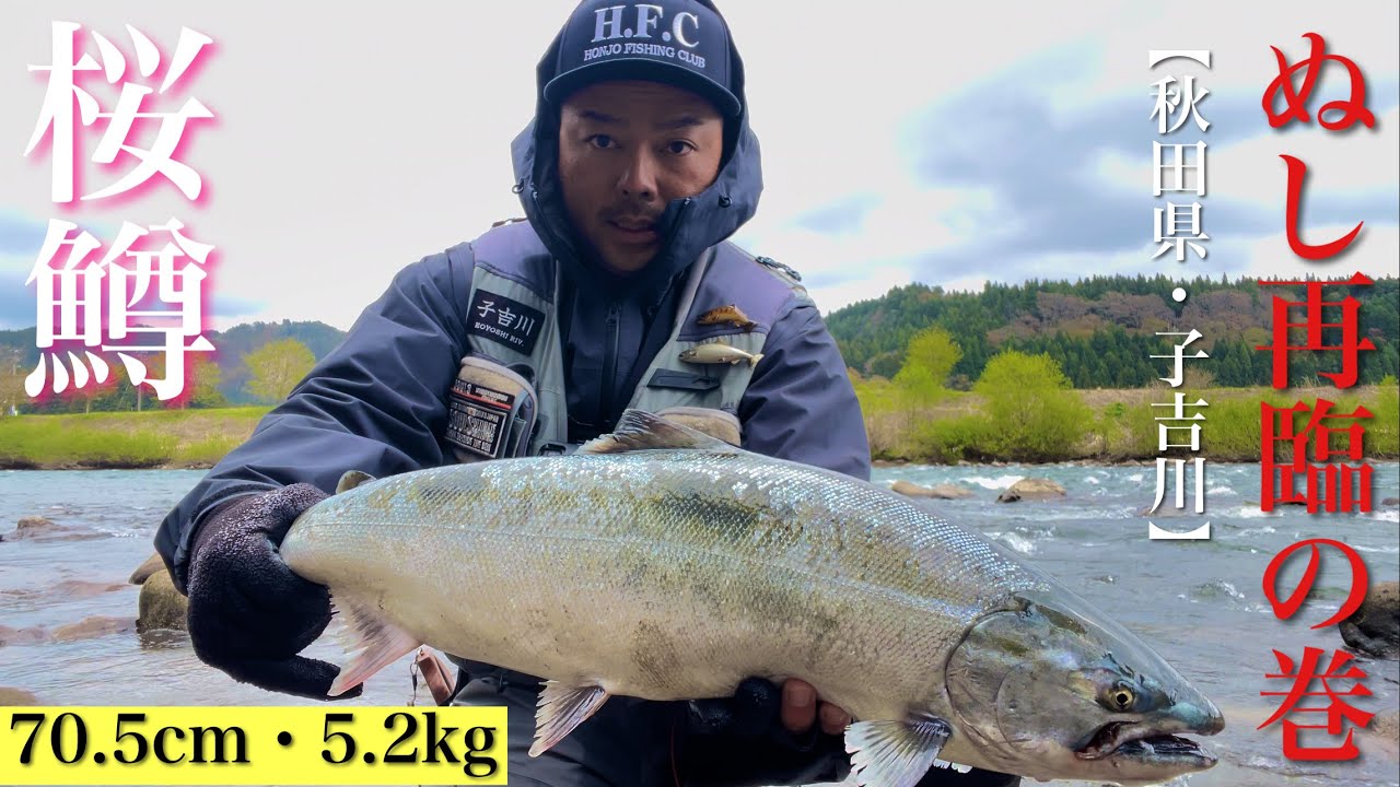 2024/04【桜鱒・サクラマス】【70.5cm・5.2kg】子吉川サクラマス釣行 H.F.C 三浦 丞司